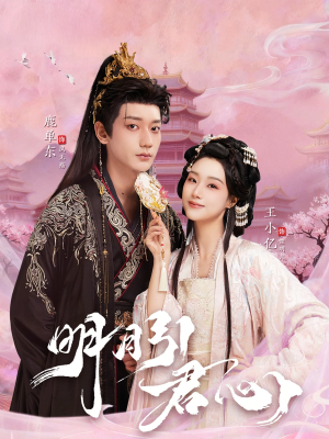 《明月引君心》（74集）免费畅享短剧全集盛宴