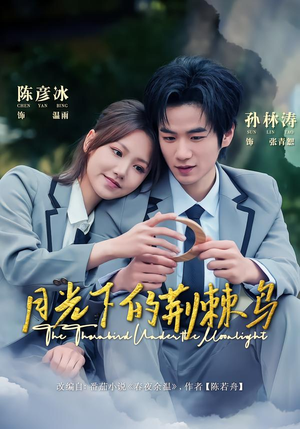 《月光下的荆棘鸟》（80集）在线追短剧精彩不停歇