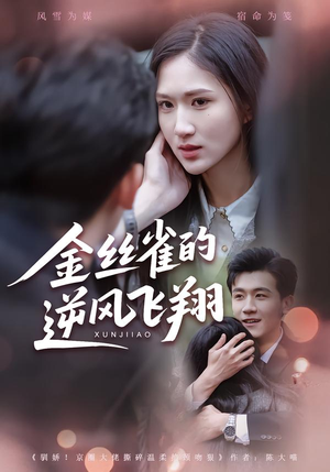 《金丝雀的逆风飞翔》（80集）短剧精彩全集速来追