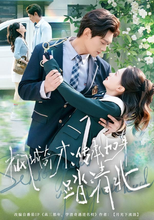 《枫城奇才：传承加身踏清北》（80集）看短剧全集享受精彩剧情