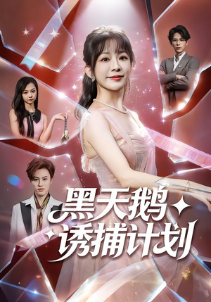 《黑天鹅诱捕计划》（81集）在线看短剧爽翻大结局