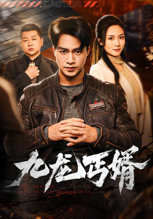 《九龙丐婿》（81集）短剧全集免费尽情追看