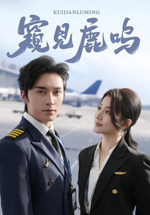 《窥见鹿鸣》（60集）热门短剧全集在线畅看