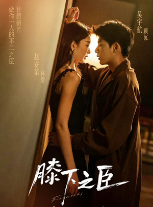 《膝下之臣》（56集）短剧全集在线看爽翻啦