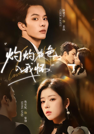 《灼灼夜色入我怀》（60集）短剧精彩不容错过全集看