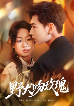 《野犬吻玫瑰》（70集）超燃短剧在线尽情看