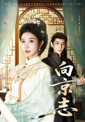 《向京志》（80集）短剧免费全集追剧盛宴