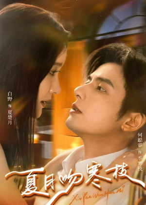 《夏月吻寒枝》（50集）一口气追完热门短剧