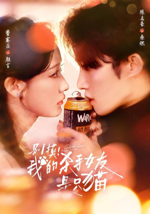 《别摸！我的杀手女友是只猫》（60集）短剧精彩全集免费畅看