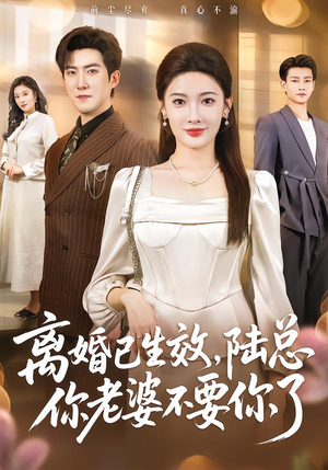 《离婚已生效，陆总你老婆不要你了》（61集）看短剧一口气追完超爽