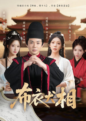 《布衣犬相》（71集）精彩短剧一集不落看