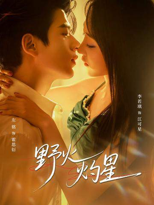 《野火灼星》（56集）短剧全集免费尽情观看