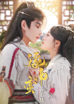 《嫁南蛮，立千秋》（79集）看短剧一睹为快大结局