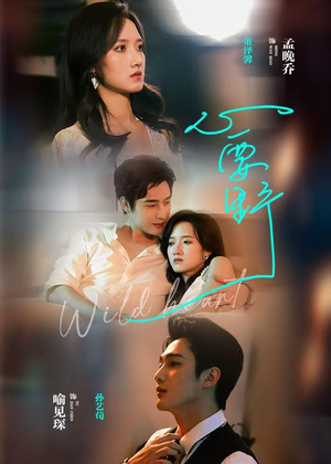 《心要野》（62集）热门短剧在线追不停看