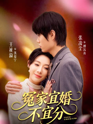 冤家宜婚不宜分（80集）爆火短剧推荐