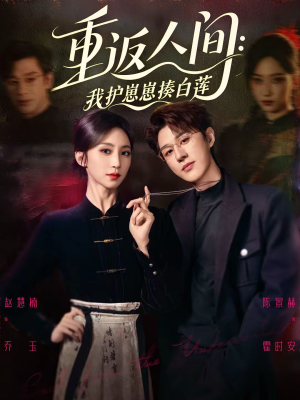 《重返人间：我护崽崽揍白莲》（60集）短剧全集免费畅快赏看