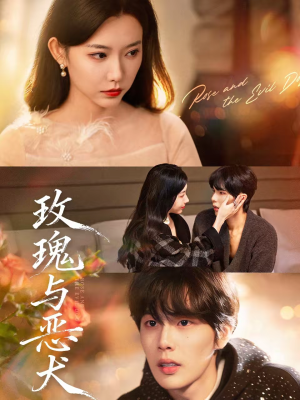 《玫瑰与恶犬》（80集）短剧完整版免费开看