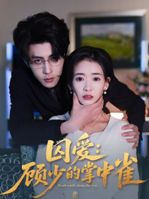 《囚爱：顾少的掌中雀》（70集）免费看短剧全集不停歇