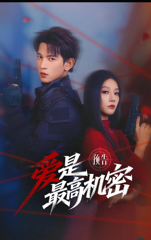 《爱是最高机密》（24集）在线看短剧一爽到底