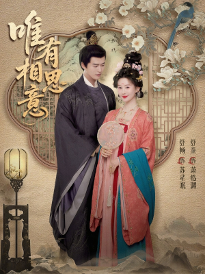 唯有相思意（100集）网上可以看吗