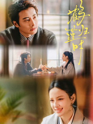 《鹤归瑾时》（81集）短剧精彩剧情在线速看