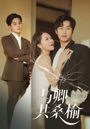 《与卿共桑榆》（63集）精彩短剧在线免费观看