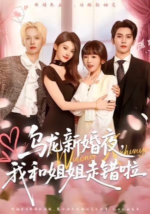 《乌龙新婚夜，我和姐姐走错啦》（59集）短剧全集免费在线赏