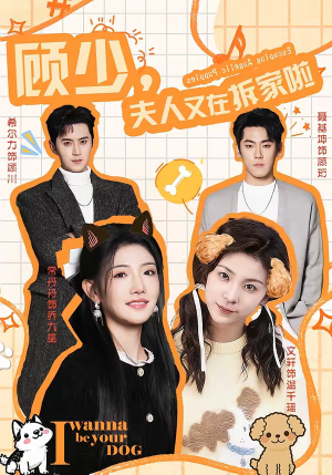 《顾少，夫人又在拆家啦》（78集）看短剧畅享欢乐时光