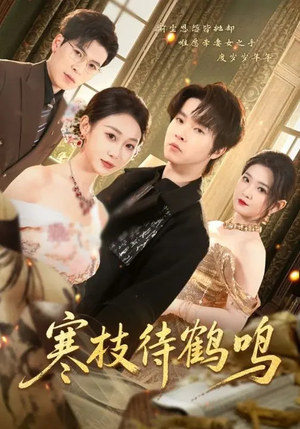 《寒枝待鹤鸣》（70集）短剧精彩不容错过全集看