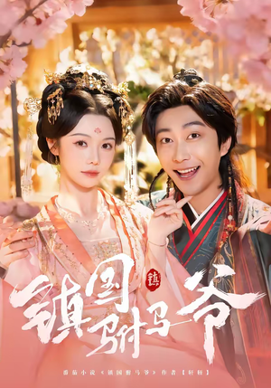 《镇国驸马爷》（92集）看短剧感受热血传奇之旅