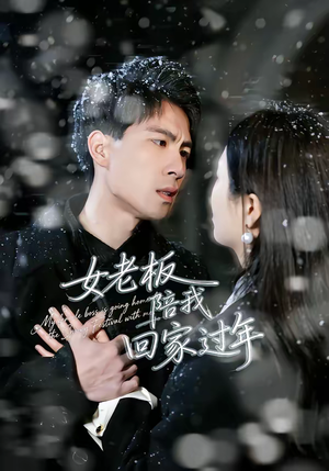 《女老板陪我回家过年》（40集）爆笑短剧免费抢先看