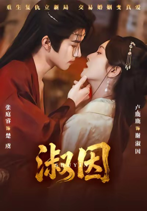 《淑因》（65集）精彩短剧一口气追完