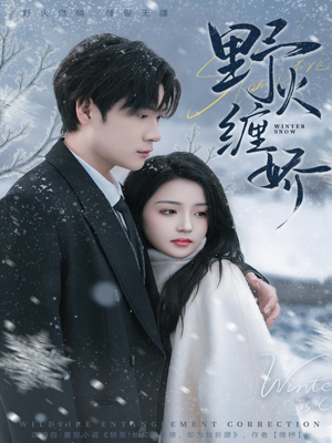 《野火缠娇》（66集）在线看短剧精彩不停歇