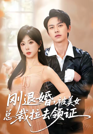 《刚退婚，被美女总裁拉去领证》（81集）短剧全集免费在线观看