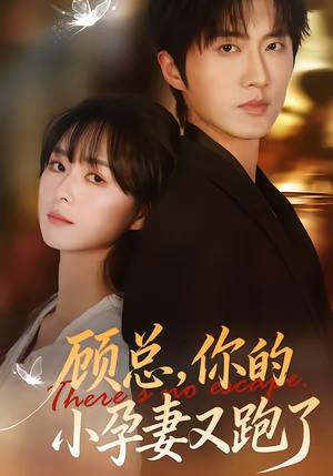 《顾总，你的小孕妻又跑了》（47集）短剧精彩剧情在线速看