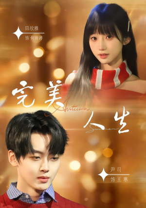 《完美人生》（85集）免费短剧全集一看到底