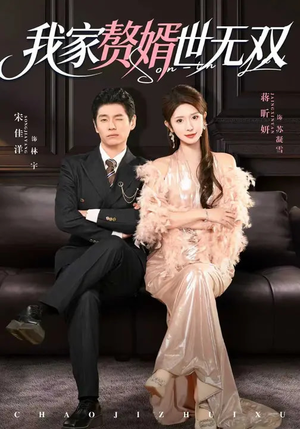 《我家赘婿世无双》（73集）短剧全集免费在线观看盛宴