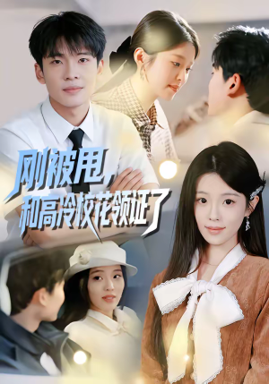 《刚被甩，和高冷校花领证了》（67集）热门短剧完整版免费追看