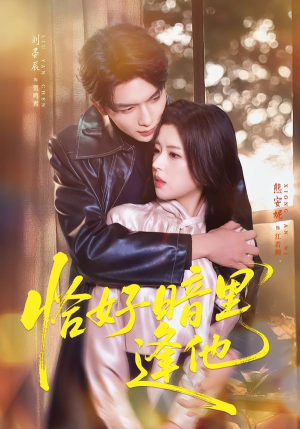 《恰好暗里逢他》（66集）热门短剧免费在线看