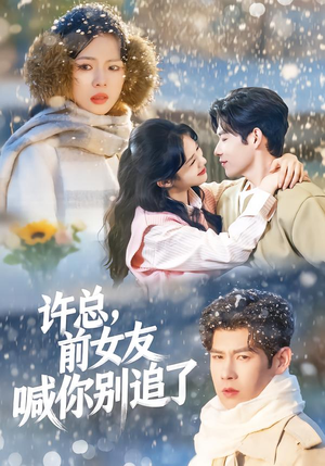 《许总，前女友喊你别追了》（80集）短剧全集免费在线观看