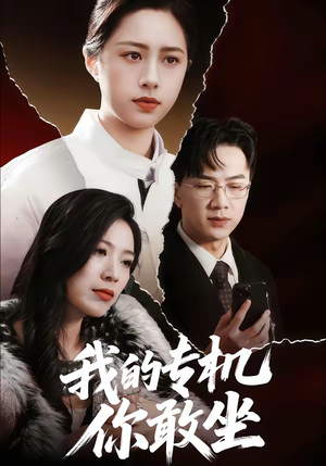 《我的专机你敢坐》（62集）一睹为快短剧完整剧情