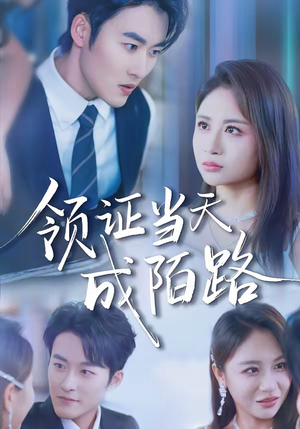 《领证当天成陌路》（39集）免费看短剧完整版别错过