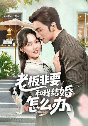 《老板非要和我结婚怎么办》（50集）短剧全集免费看个过瘾