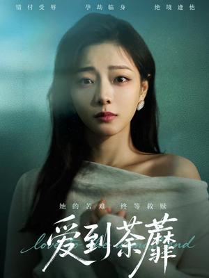 《爱到荼蘼》（63集）免费看短剧全集别错过