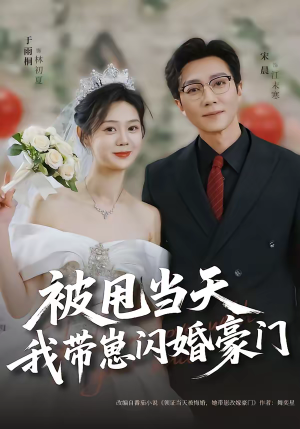 《被甩当天我带崽闪婚豪门》（70集）看短剧感受别样豪门恋