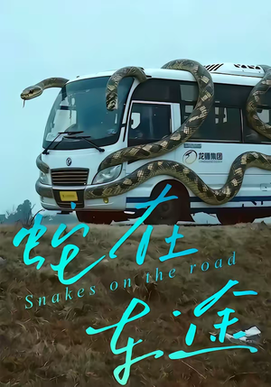 《蛇在车途》（34集）精彩短剧全集免费看个够
