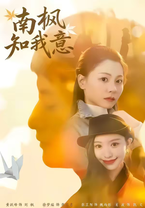《南枫知我意》（41集）短剧精彩全集在线免费观赏
