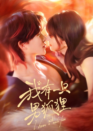 《我有一只男狐狸》（48集）短剧精彩剧情在线追