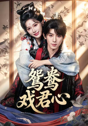 《鸳鸯戏君心》（60集）免费在线看短剧全集