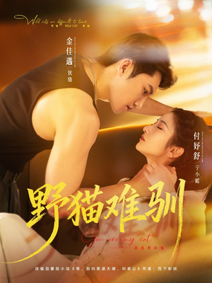 《野猫难驯》（73集）短剧免费追不停爽看全集